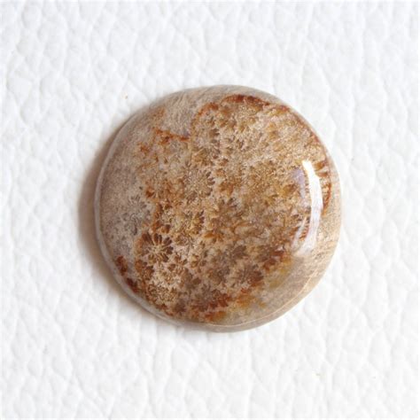 Attractive Natural Fossil Coral Cabochon Gemstone Fossil Coral Etsy