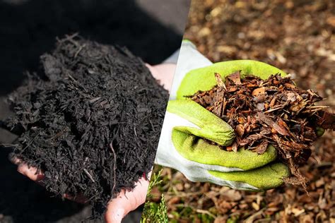 Black Mulch Vs Brown Mulch Pros And Cons Which Is Better