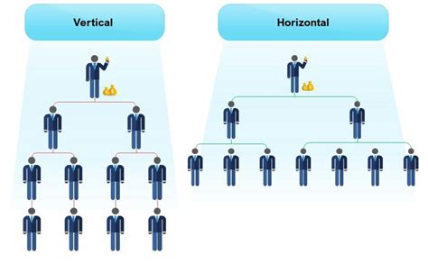 Vertical Vs Horizontal Business Organisations