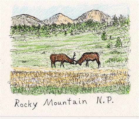 The Rut Season Drawing By Danny Lowe Fine Art America