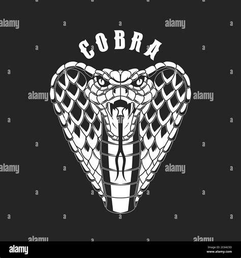 Illustration Of Cobra Snake Design Element For Logo Label Sign