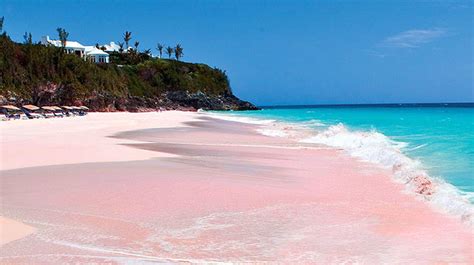 10 Of The Prettiest Pink Beaches From All Over The World