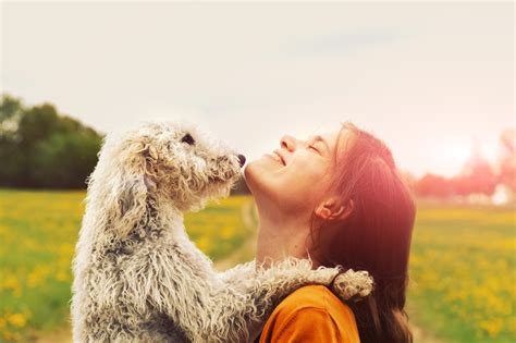 5 Habits for a Healthier and Happier Pet