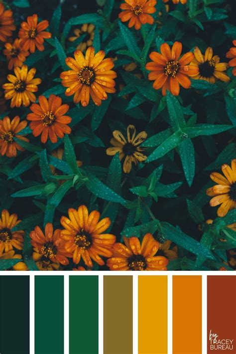 Green And Orange Color Palette Color Schemes Colour Palettes Fall Color Palette Color