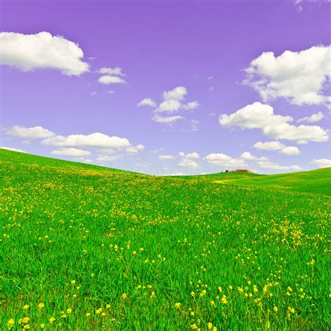 Meadows Of Tuscany Stock Image Image Of Farming Nature 72094039