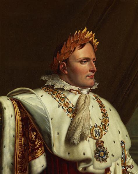 Portrait Of Napoleon In His Coronation Robes Painting By Anne Louis