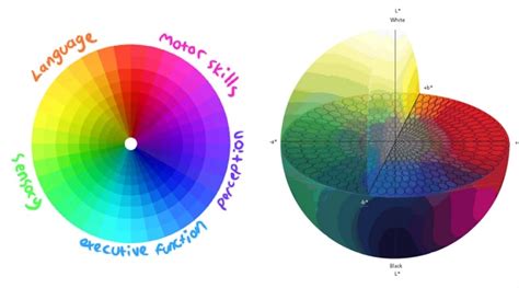 Autism Spectrum Color Wheel