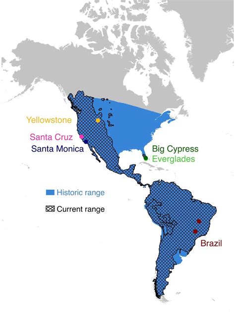 Mountain Lion Habitat Map