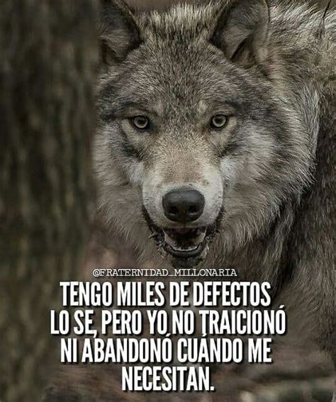 frases de lobos guerreiros