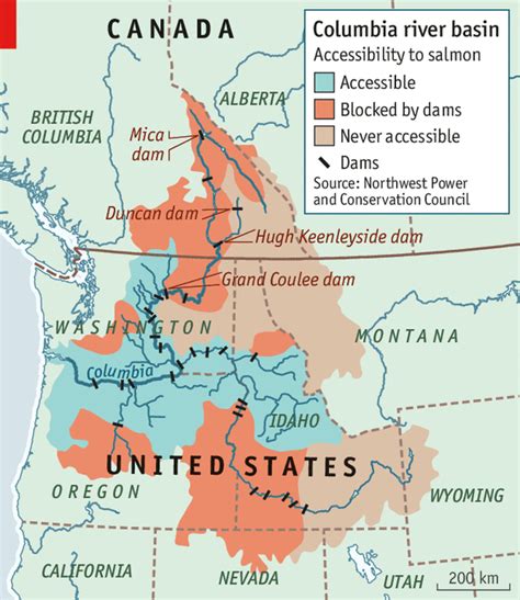 Salmon En Route The Columbia River Treaty