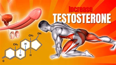 Increase Testosterone Naturally 5 Best Exercises For You Youtube