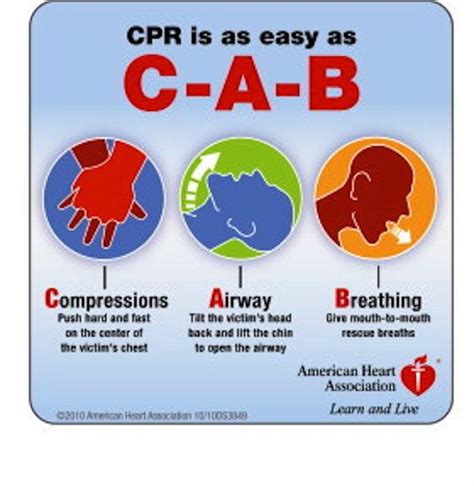 New Cpr Guidelines From The American Heart Association First Aid Cpr