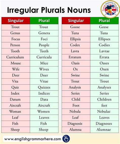 Irregular Plurals Noun In English English Grammar Irregular Plurals