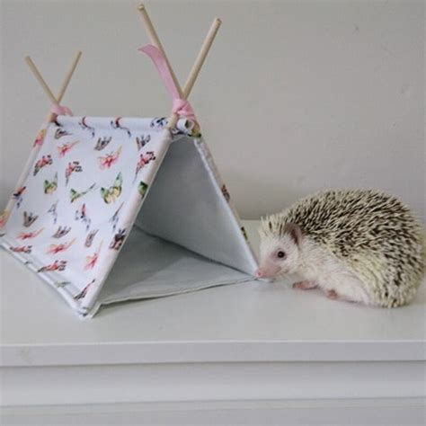 Hedgehog Tent Hog Hut Etsy