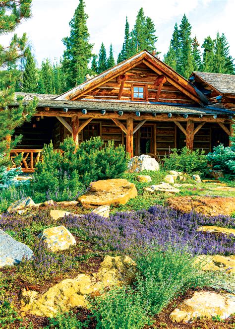 Landscaping At The Cabin Artofit