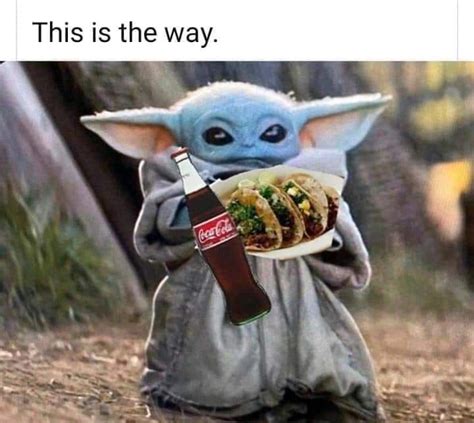 Baby Yoda Tacos And A Coke Yoda Funny Yoda Meme Yoda Quotes Funny