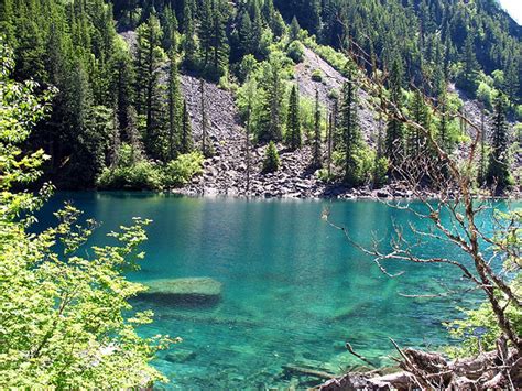 5 Great Lower Mainland Hikes From Vancouver Trails Cbc News