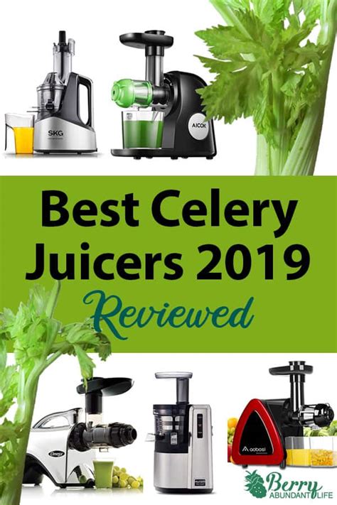 celery juice juicers juicer why daily need health