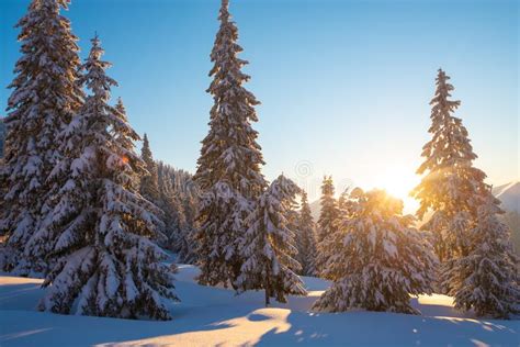 Magic Sunrise In The Winter Mountains After Snowfall Stock Photo