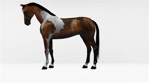Downloads ♥sims 3 Horses♥