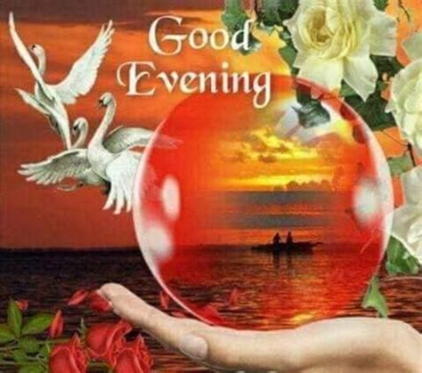 10 Best Good Evening And Good Night Images To Bring Blessings To Your Night