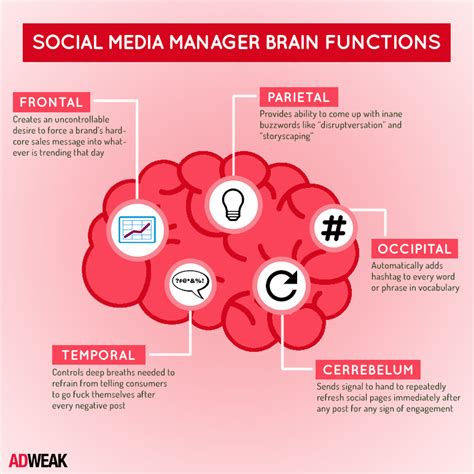 Social Media Manager Brain Functions Infographic By Adweak Social