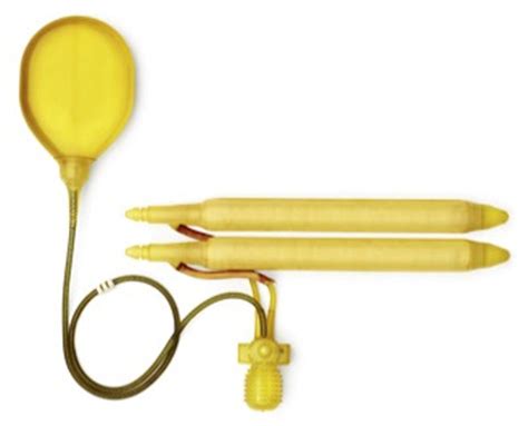 Piece Inflatable Penile Prosthesis Modeleams With Inhibizone From Download Scientific
