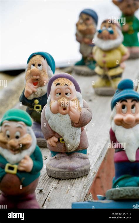 Whimsical Gnomes Sleeping Beauty Dwarfs In Amy Stewart S Garden Stock
