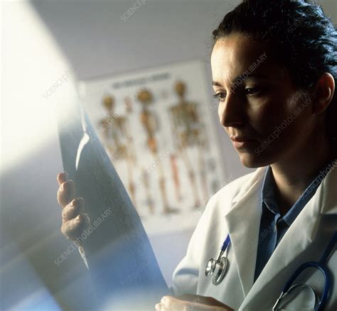 Female Doctor Studying An X Ray Image Stock Image M4150411