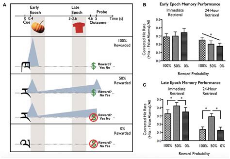 Frontiers Reward Anticipation Dynamics During Cognitive Control And