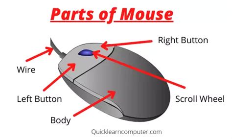 Internal And External Parts Of Mouse And Its Components