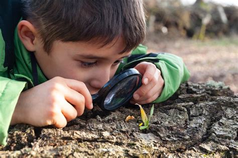 Observe And Learn How A Magnifying Glass Builds Kids Science Skills