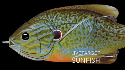 Livetarget Sunfish Lure Overview Youtube