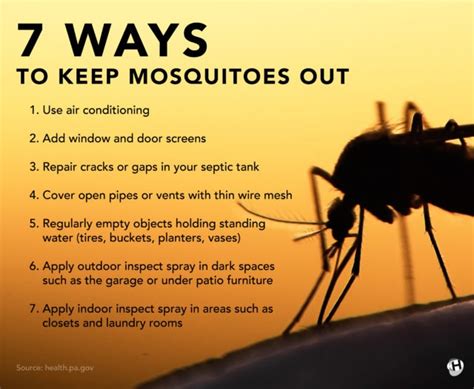 Avoid Mosquito Bites With These Seven Prevention Tips