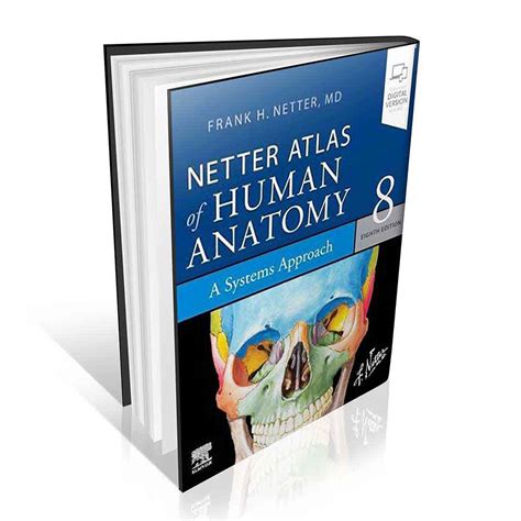 اطلس آناتومی نتر Atlas Of Human Anatomy Netter 2023 ⚡ ایرانیان طب