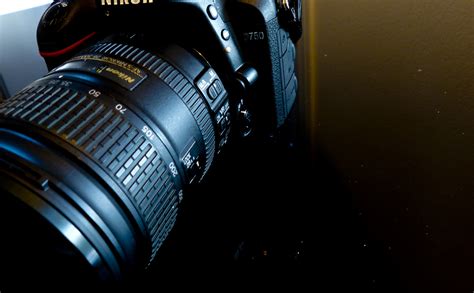 Nikon Closeup Free Stock Photo Public Domain Pictures