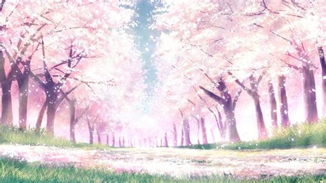 Anime Cherry Blossom Pc Wallpaper Aesthetic Imagesee