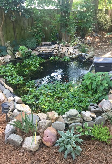 Fish ponds should be 1/2 acre or more in water surface area. Pin by Patsy Bass on Backyard Ponds | Ponds backyard ...