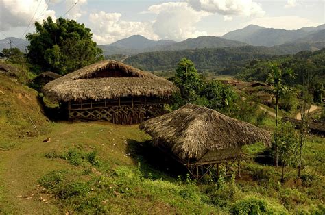 Tribal Homes In Arunachal Pradesh Photograph By Jaina Mishra