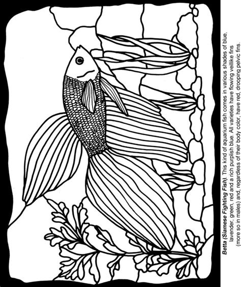 Dream catcher coloring pages are a great way to get spiritual. Pin on Coloring pages first edition