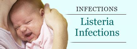 Лямблиоз, лямблии (giardia lamblia intestinalis). Listeria Infections