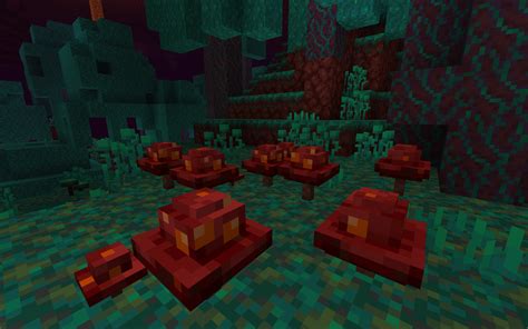 Mushrooms Plus Resource Packs Minecraft Curseforge