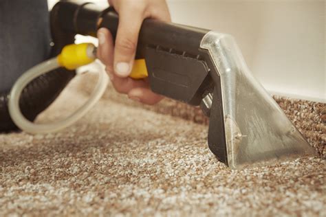 The Health Benefits Of Deep Cleaning Carpets Harcourt Health