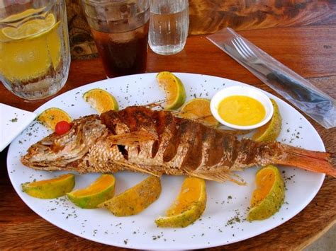 Delivery of food with the gomind challenge: Pollo Tropical-Costa Rica Cuisine Brasilito, Brasilito ...
