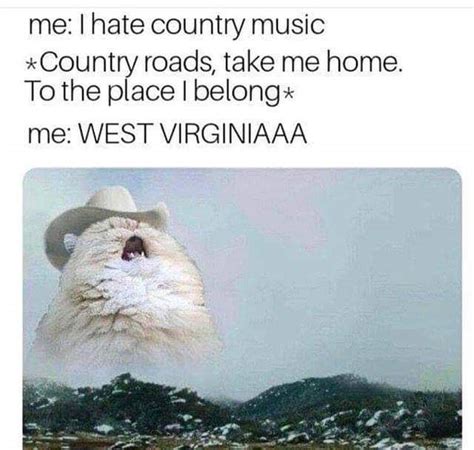 People quickly began photoshopping the western headgear on everything imaginable, incorporating applicable words that rhyme with the original caption. I dont actually hate country music, i just hate rap in any ...