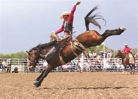 Isaac Diaz On Gunslinger Bailey Pro Rodeo At Miles City Bucking Horse