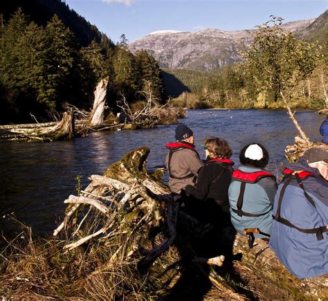 Great Bear Rainforest British Columbia Kanada Review Tripadvisor