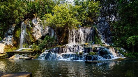Wallpaper Forest River Waterfalls Stones 2560x1440 Qhd