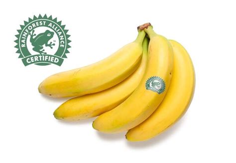 Bananen Von Aldi SÜd Ansehen