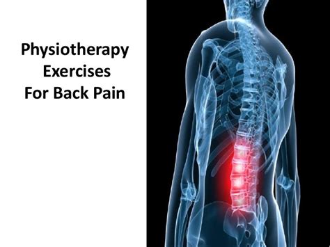 Physiotherapy Exercises For Back Pain